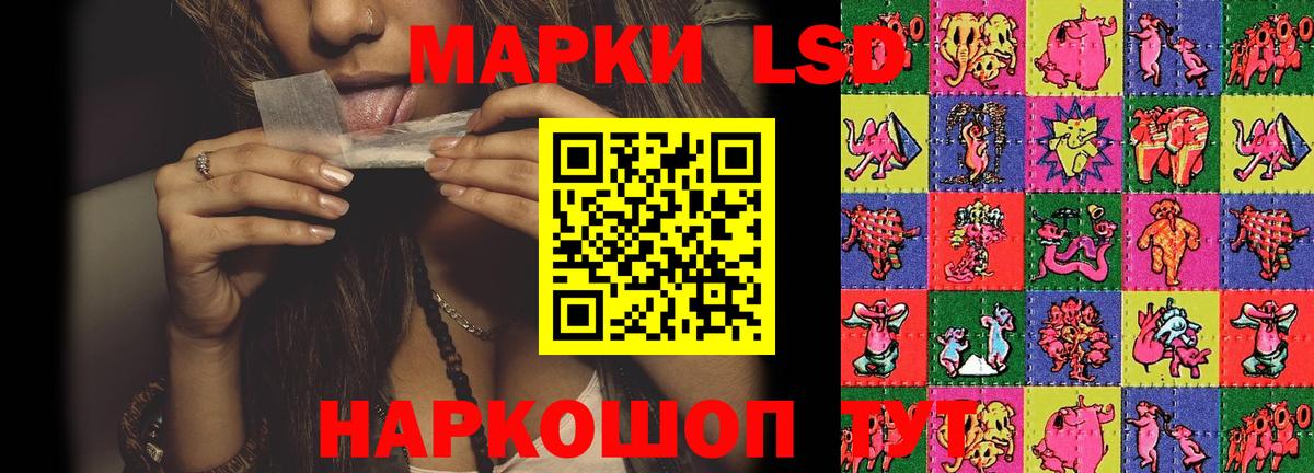 Шебекино  LSD-25 экстази кислота  мега маркетплейс  Вход с VPN  ЛСД экстази ecstasy 