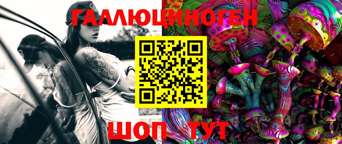Псилоцибиновые грибы GOLDEN TEACHER  Псилоцибиновые грибы MAGIC MUSHROOMS  Шебекино  Вход с VPN 